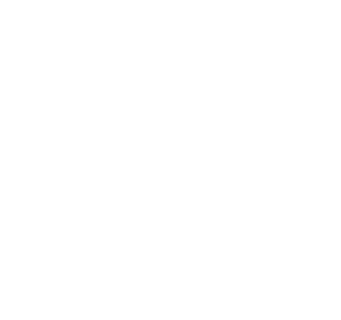 Safyn Logo White